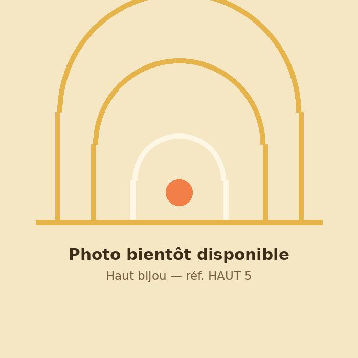 Haut Bijou — Réf. 5